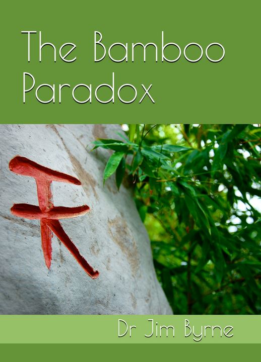 Image result for bamboo paradox cover