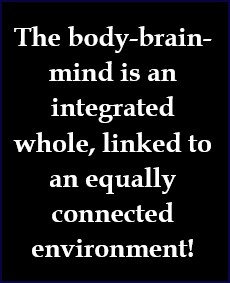 The body, brain and mind are all of a piece, linked to a sustaining, or undermining, environment